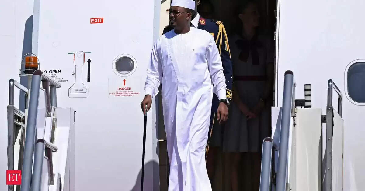 Chad publicizes suspension of visas to US residents in response to Trump journey ban