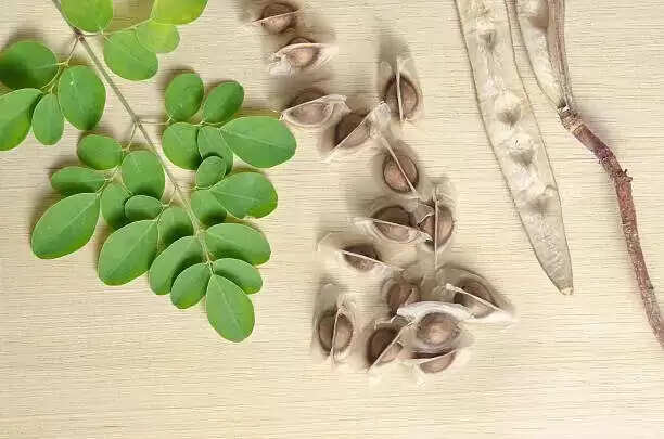 Not simply Moringa juice, here is how you need to use Moringa Seeds for hair development
