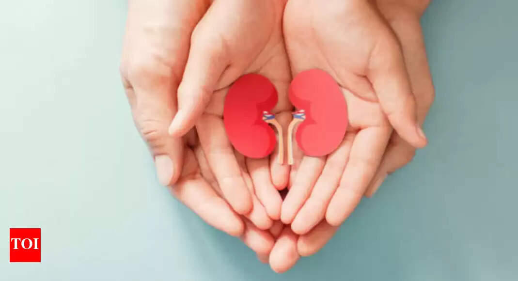 Kidney Well being: Can gaining even 3-4 kgs of weight improve our threat of kidney illness? The best way to forestall it |