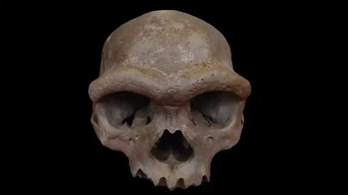 China’s Dragon Man Cranium Discovered to Belong to Denisovan Lineage